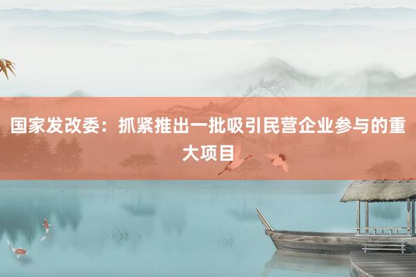 国家发改委：抓紧推出一批吸引民营企业参与的重大项目